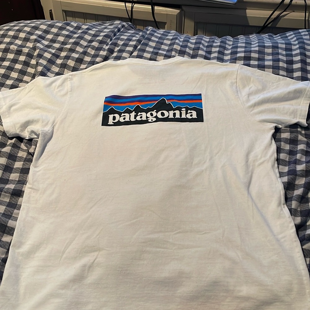 Patagonia t shirt